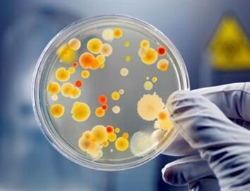 Bactérias podem causar prostatite crônica