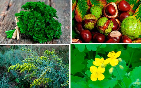 ervas para o tratamento da prostatite